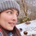 Celina Jaitly Instagram - "Stop it! You're being unBEARably cute and cuddly!!” Had to get away from the heartbreaking crisis dominating our peaceful Europe & find some peace in the wild where animals kill only for food & not for power & pleasure !! #ukraine #russia #russiaukraineconflict #austria #austriangirl #indiangirl #bollywood #celinajaitly #celinajaitley #bear #alpinebabes #austrianalps #österreich #europe #europetravel #lifeineurope Cumberland Wildpark