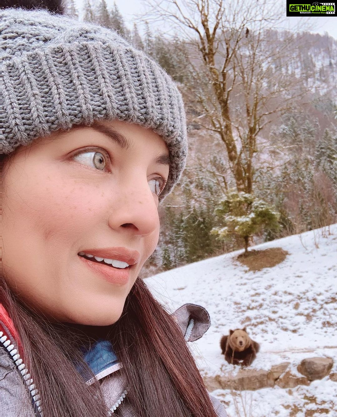 Celina Jaitly Instagram - "Stop it! You're being unBEARably cute and cuddly!!” Had to get away from the heartbreaking crisis dominating our peaceful Europe & find some peace in the wild where animals kill only for food & not for power & pleasure !! #ukraine #russia #russiaukraineconflict #austria #austriangirl #indiangirl #bollywood #celinajaitly #celinajaitley #bear #alpinebabes #austrianalps #österreich #europe #europetravel #lifeineurope Cumberland Wildpark