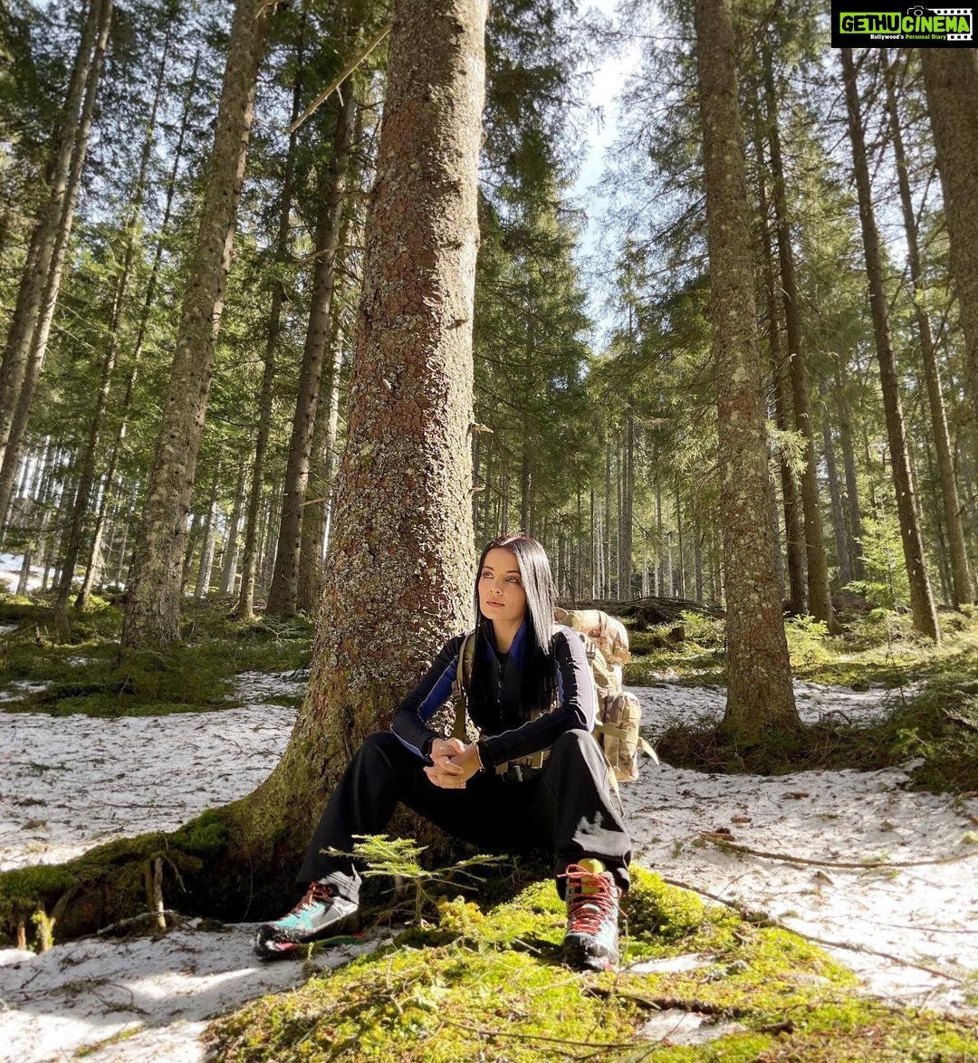 Celina Jaitly Instagram - “Into the forest I go to loose my mind and find my soul….” Half way through a 6 hour high altitude hike, I take a moment to pause and offer gratitude for all the wonderful things I have experienced in my journey. As I said before, despite being obsessed with high heels life is certainly better in hiking boots ! Photograph | @haag.peter ♥️🤍♥️ #gratitude #hiker #hikergirl #hikersofinstagram #austria #celinajaitly #celinajaitley #bollywood #celinainnature #naturelovers #mountainlife #austriangirl Austria, Europe