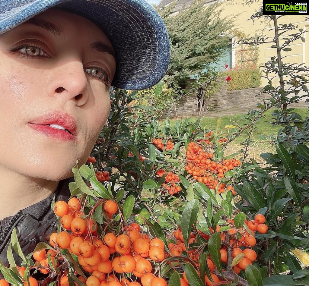 Celina Jaitly Instagram - A “Berry”-Good Day to you all !! Pahadi Me, autumn sunshine and some narrow leaf fire thorn orange berries !! #berries #celinajaitly #celina #celinajaitley #beautyqueens4ever #bollywood #missindia #missuniverse #outdoors #alpingirls #austria #austrian #indiangirl #naturelover #dailyrun #firethorn #wildberries Austria, Europe