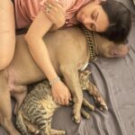 Chahatt Khanna Instagram - So lucky to have this boy in my life #Sultan #babyboy #myboy #chahatkhannna #puppylove #pittbull