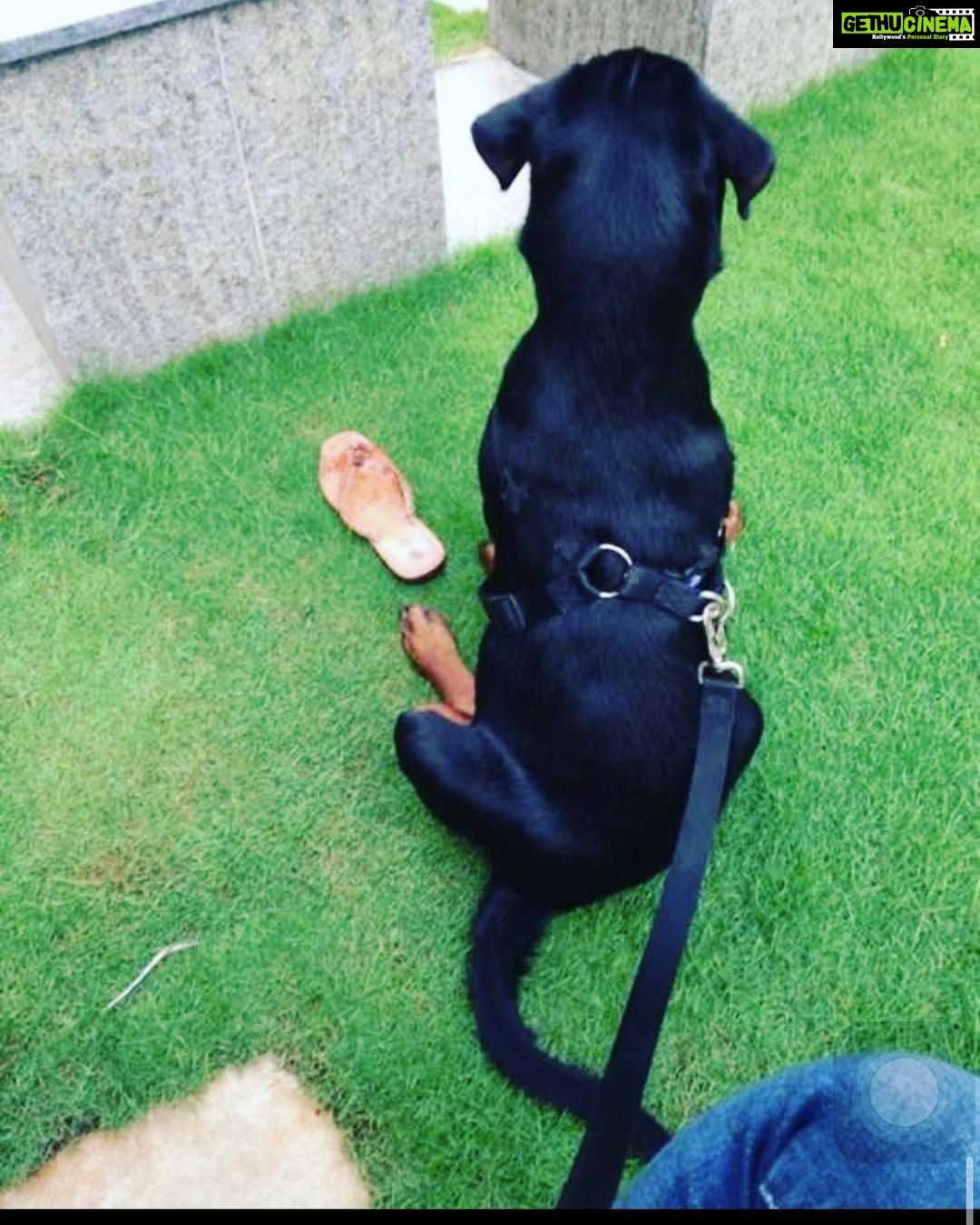Chahatt Khanna Instagram - You took my soul away with you Azu .. can never be the same after today . #rip my baby .. ill meet you on the other side soon.. #azlanmerijaan