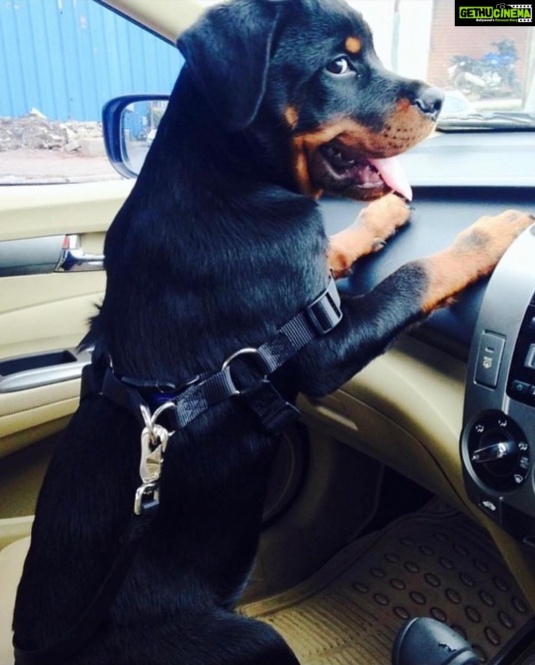 Chahatt Khanna Instagram - You took my soul away with you Azu .. can never be the same after today . #rip my baby .. ill meet you on the other side soon.. #azlanmerijaan