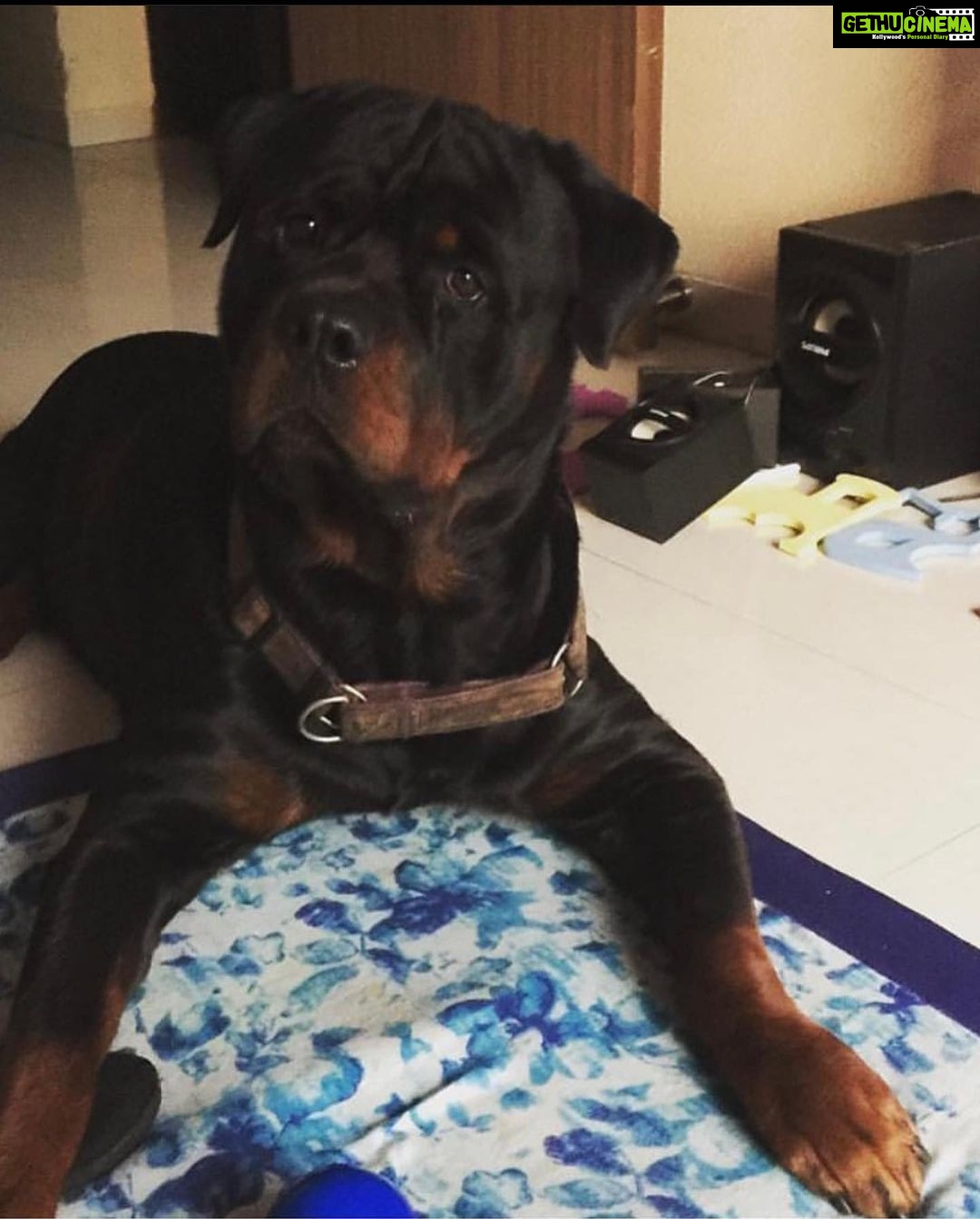 Chahatt Khanna Instagram - You took my soul away with you Azu .. can never be the same after today . #rip my baby .. ill meet you on the other side soon.. #azlanmerijaan