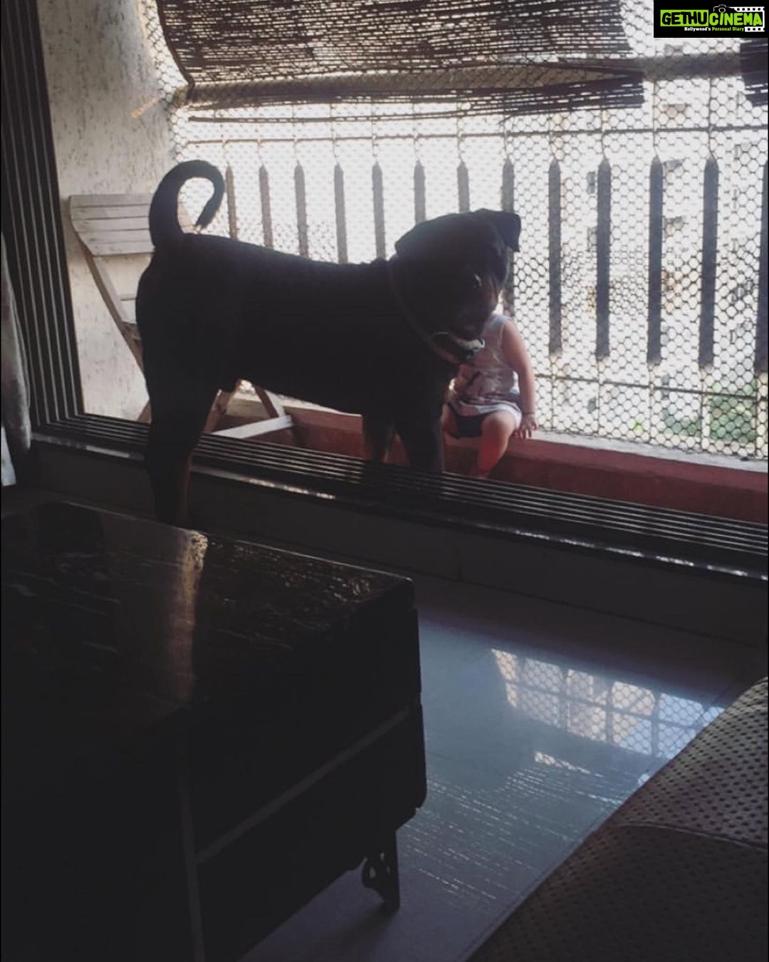 Chahatt Khanna Instagram - You took my soul away with you Azu .. can never be the same after today . #rip my baby .. ill meet you on the other side soon.. #azlanmerijaan