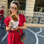 Chahatt Khanna Instagram – Just a girl in Red dress .. 
@ammarzofashion #fashion #dress #reddress #chahattkhanna #ammarzo #azarbaijan #baku #travel #travelgram #beautifuldestinations #liveit Baku, Azerbaijan