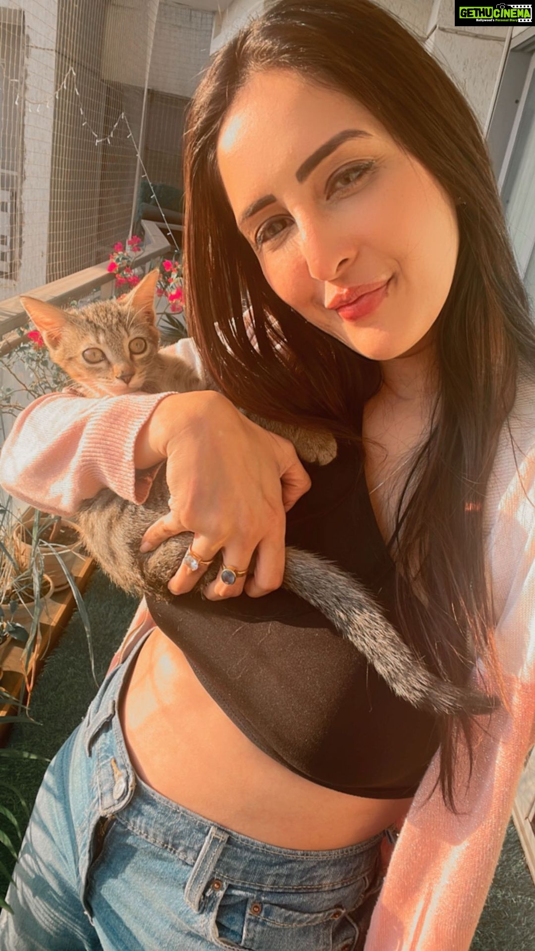Chahatt Khanna Instagram - Hum dono local.. #adoptdontshop #indiancat #bangalcat #chahatkhannna #myspace #happiness #summersunset #ck #kitten #kittenlove #mumbai #magiclight