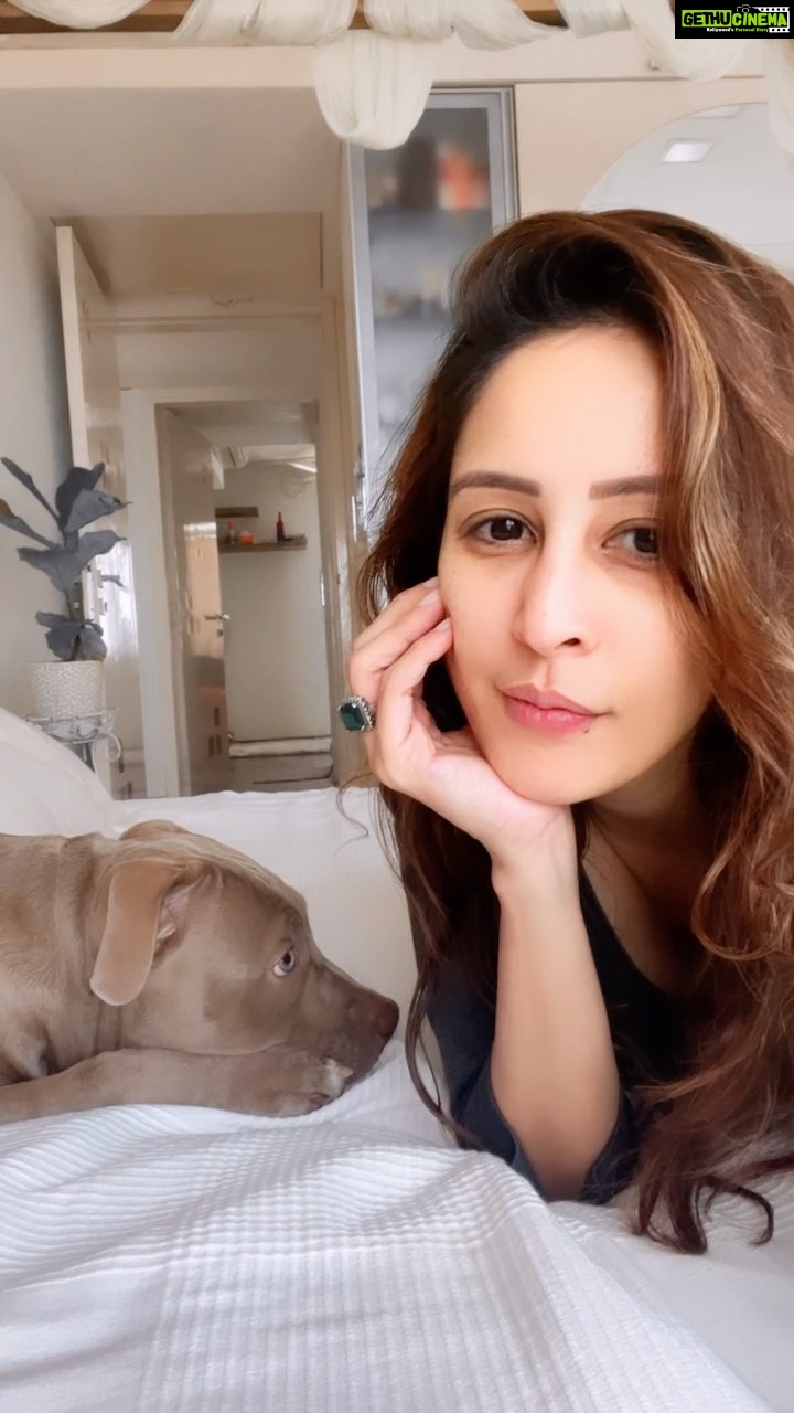 Chahatt Khanna Instagram - My bholu baby #sutu #sultan #doga #reelsinstagram #dogsofinstagram @babyboysultankhanna #chahattkhanna