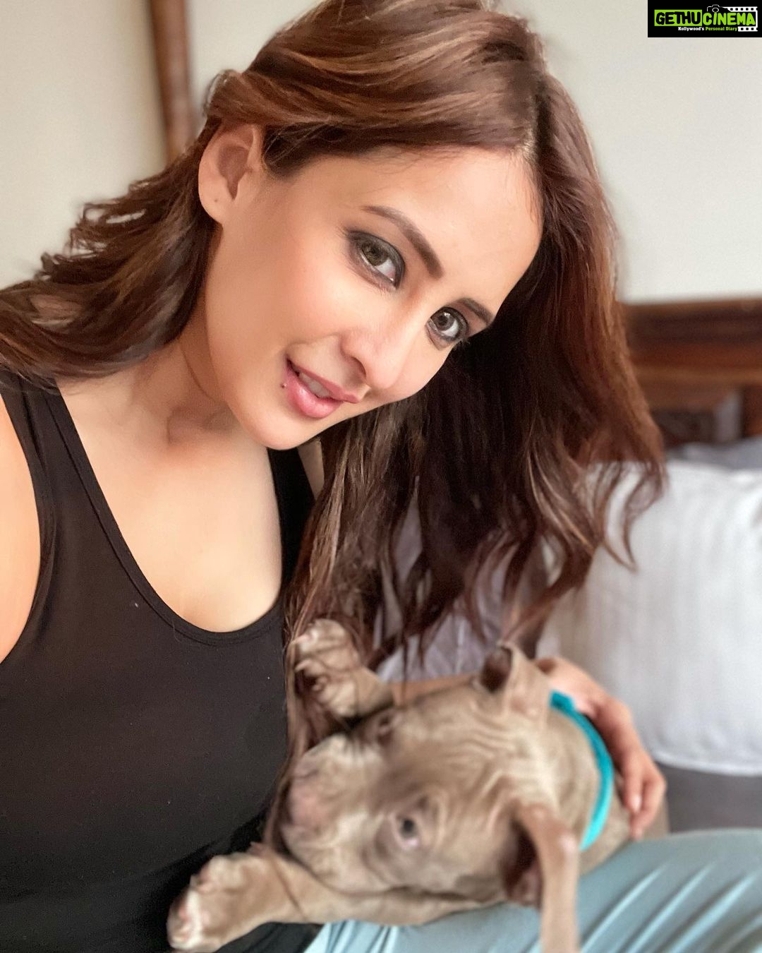 Chahatt Khanna Instagram - Moments spent with you are the most special ❤️🧿 @babyboysultankhanna #babylove #babyboy #son #puppylove #pitbull #americanbully #puppy #dog #life