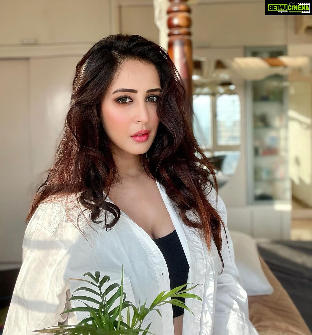 Chahatt Khanna Instagram - Days of life … #chahattkhanna #white #mood #plant #home #myspace #sunshine #magichour #evenings #naturalhair