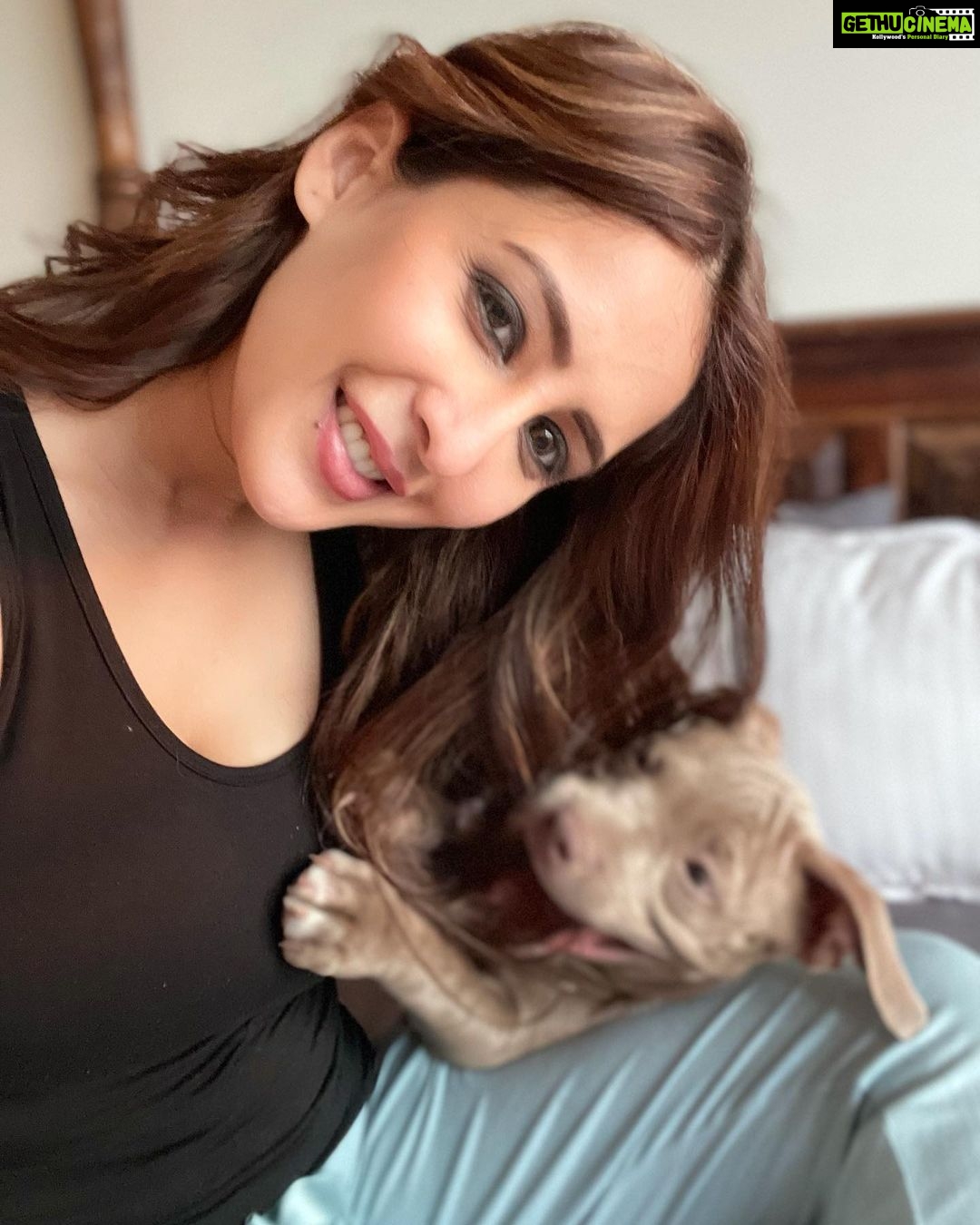 Chahatt Khanna Instagram - Moments spent with you are the most special ❤️🧿 @babyboysultankhanna #babylove #babyboy #son #puppylove #pitbull #americanbully #puppy #dog #life