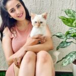 Chahatt Khanna Instagram - My quarantine partner @pacothesiamese #catty #homequarantine #lockdown2021 India