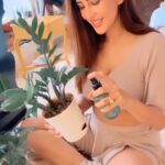 Chahatt Khanna Instagram - Some water time for my room plants 🌱 #grow #bloom #reels #ckreels #chahattkhanna
