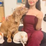 Chhavi Pandey Instagram - my first reel with my baby #angel #reels #cutereel #doglover #loveyoyangel 😘😘