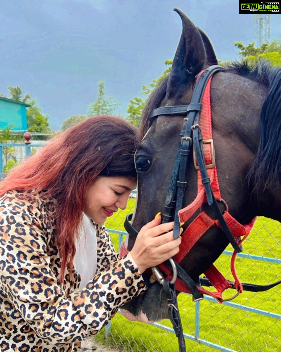 Debina Bonnerjee Instagram - A very very rainy day it was!! However loved every bit of my time as it was my much awaited holiday!!! What a beautiful farm @house_of_horse_1 . #debinabonnerjee #rainyday #alibaug #houseofhorses