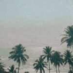 Deepthi Manne Instagram – Serenity ! Antares Restaurant and Beach Club