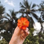 Deepthi Manne Instagram - #smilelikeaflower
