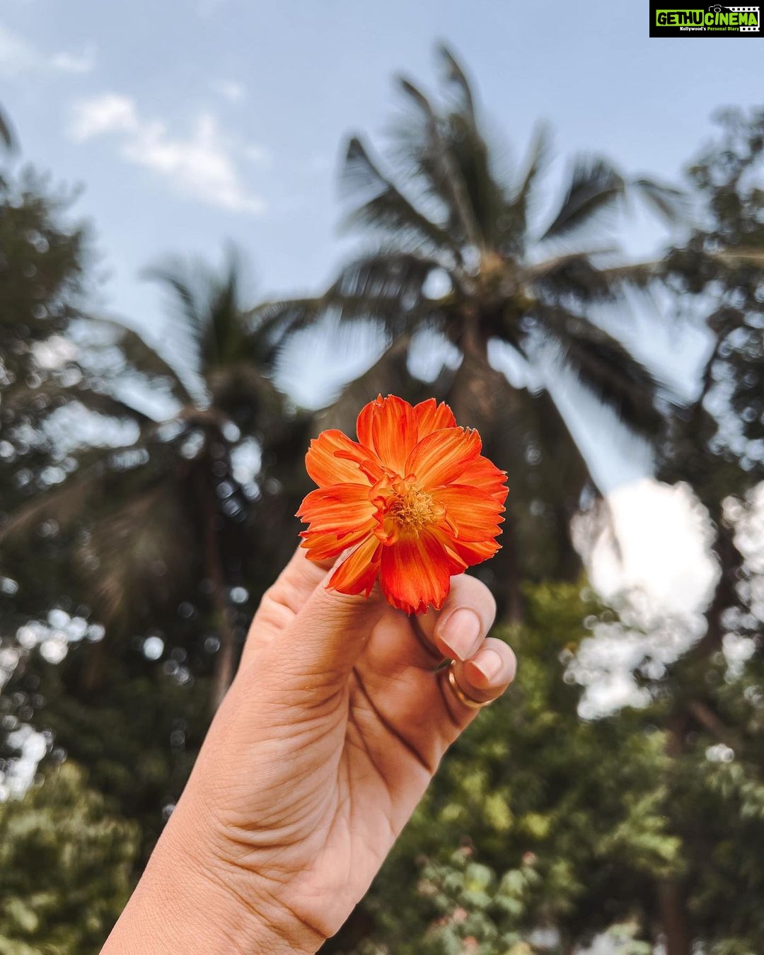 Deepthi Manne Instagram - #smilelikeaflower