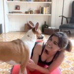 Diana Penty Instagram - Huggy buggy kissy kinda day 🐶🥰🧿 #dog #dogreels #dogsofinstagram #doglife #adoptdontshop
