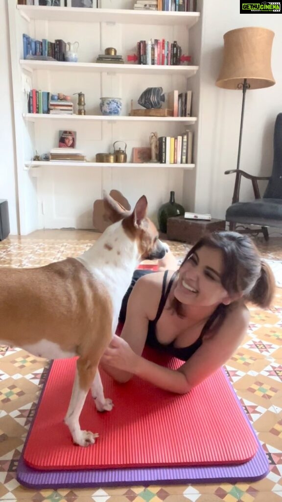Diana Penty Instagram - Huggy buggy kissy kinda day 🐶🥰🧿 #dog #dogreels #dogsofinstagram #doglife #adoptdontshop