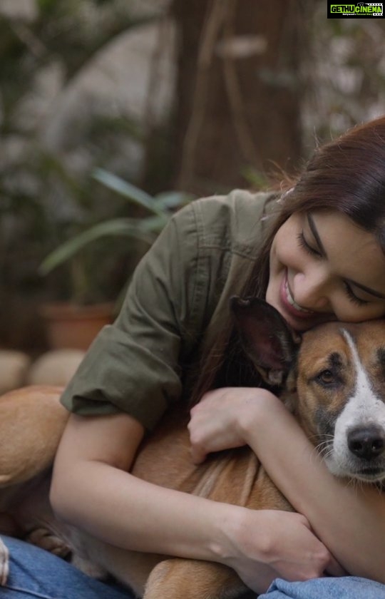 Diana Penty Instagram - Speaking from personal experience, I can proudly say that Indies are the best kind of fur babies to have in your lives. But, there are so many myths and misconceptions that are big deterrents to adopting these bundles of joy. Which is why, the Pedigree #BeIndieProud adoption campaign is so amazing… it helps debunk the myths and helps you to adopt the perfect Indie for you. With a range of products and variety of treats, they also ensure that you make a #PawfectStart with your Indie. Visit the website to adopt from the NGOs in the link below and you will receive a free Pedigree adoption Kit @pedigree_india www.pedigree.in/indian-dog-adoption/ #AdoptNow #BeIndieProud #LoveHasnoBreed #FeedtheGood #Pedigree #Pedigreelndia #FeedTheGood #FeedTheStray #AdoptADog #AdoptAStray #DogAdoption #AdoptionStory #Adoption #Dog #DogLife #Dogs #DogLove #DogLover #Dogstagram #Pet #PetLove #PetsOfInstagram #DogParents #PetHealth #DogHealth #DogCare #PetCare