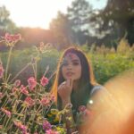 Diana Penty Instagram - DND 🌸🍀🌞