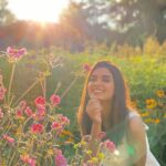 Diana Penty Instagram - DND 🌸🍀🌞