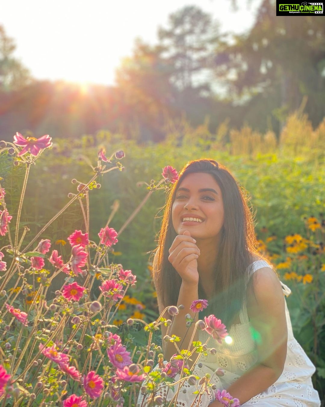 Diana Penty Instagram - DND πΈππ