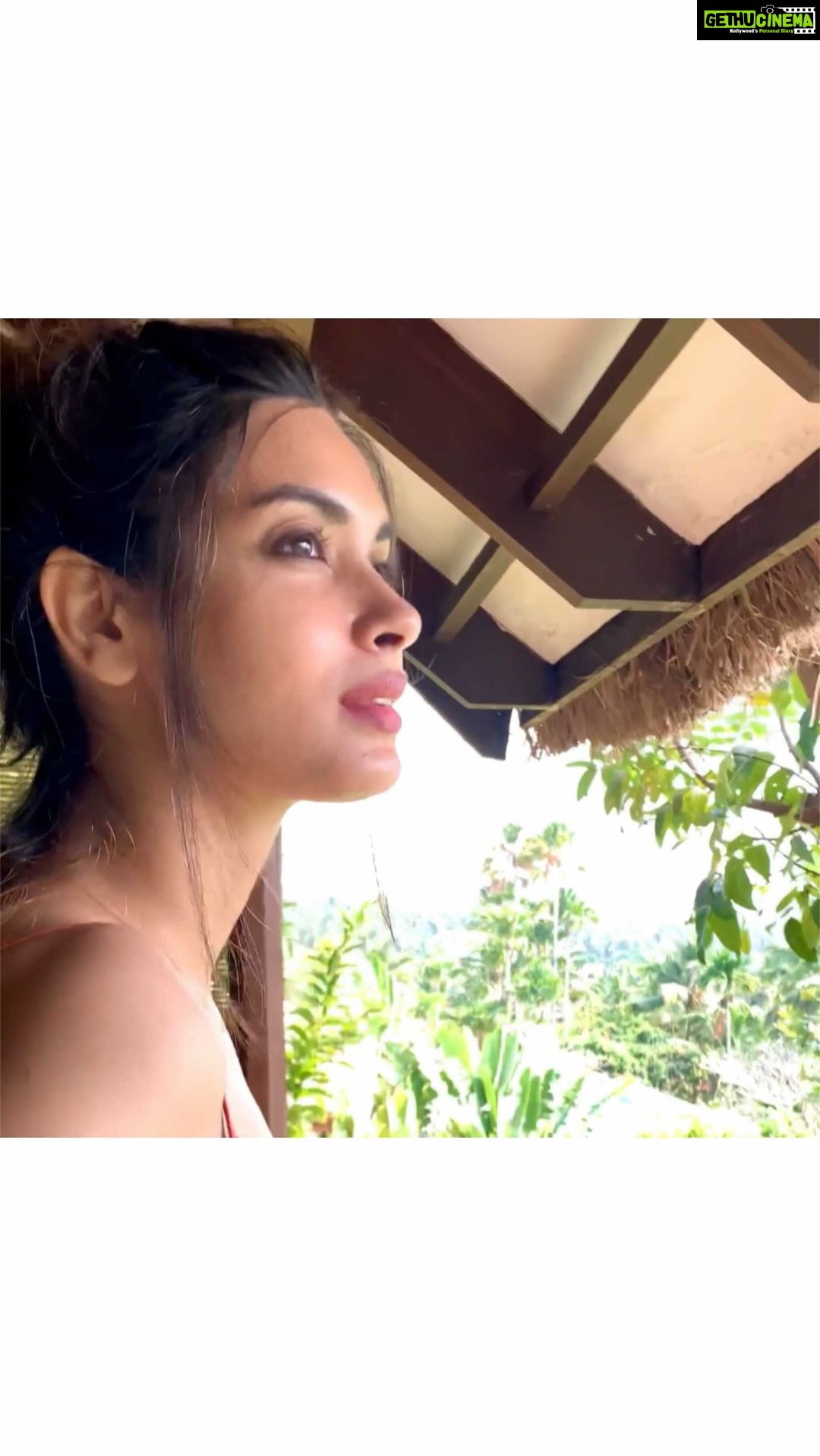 Diana Penty - 323.5K Likes - Good Morning 🌴 #TeaWithD
@tajgreencoveresort