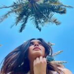 Diana Penty Instagram - Kerala and I... 🌴💚 Trivandrum, Kerala, India