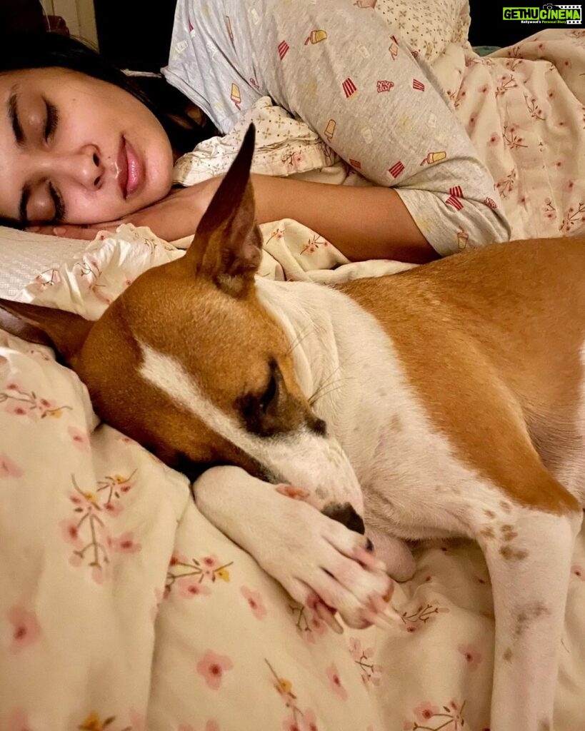 Diana Penty Instagram - New year, same old us 😆🐶😴 #TailsOfVickyAndD