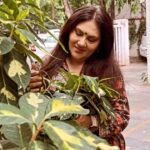 Dipika Chikhlia Instagram -