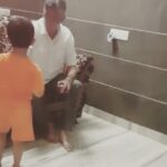 Ekta Kaul Instagram - This is most loved video of my life. So here’s my dad who was once a cricketer. He has played 4 Ranjis and then couldn’t continue because of some personal reason is now teaching how to hold a ball to his 2 and a half year old grand son. Brings back so many memories of us going and watching his matches and taking his trophies and cheering for him. I hope this learning never stops and viraaj becomes best at everything that he’s interested in. I love these men! The little one and the so not little one. @bhartikaulsethi you guys are damn lucky!