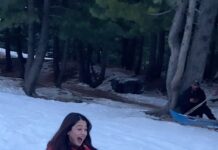 Falaq Naaz Instagram - Dil to pagal hai❤️ . . . #trendingreels #snow #winter #kashmir #snowfall #sledgeride #viral #reels #explorepage #foryou #falaqnaaz #fun #december #2022 #wintervibes #bollywoodsongs #srk Sonamarg, Jammu And Kashmir, India