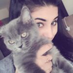 Hamida Khatoon Instagram - Happy birthday apple ♾️❤️ #hamida #hamidakhatoon #happyhamida #apple #birthday #cat #animallovers