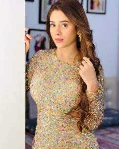 Hiba Nawab Instagram - Party on my mind ✨ 

Styled by: @ashnaamakhijani 
@styledbyashna 
Outfit: @aleta.official
Jewellery: @ethnicandaz