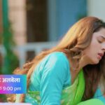Hiba Nawab Instagram - क्या सयूरी हिम्मत रखकर, जीत पाएगी कान्हा की माँ से? जानने के लिए देखिए #वोतोहैअलबेला #WohToHaiAlbelaa सोम-शुक्र, रात 9 बजे, सिर्फ़ STAR भारत पर। @shaheernsheikh @kinshukvaidya54 @hibanawab @pallavipradhan1410
