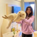 Ihana Dhillon Instagram – A small dose of #fluffysingh 😜😍🐱🐈🌝 Home Sweet Home