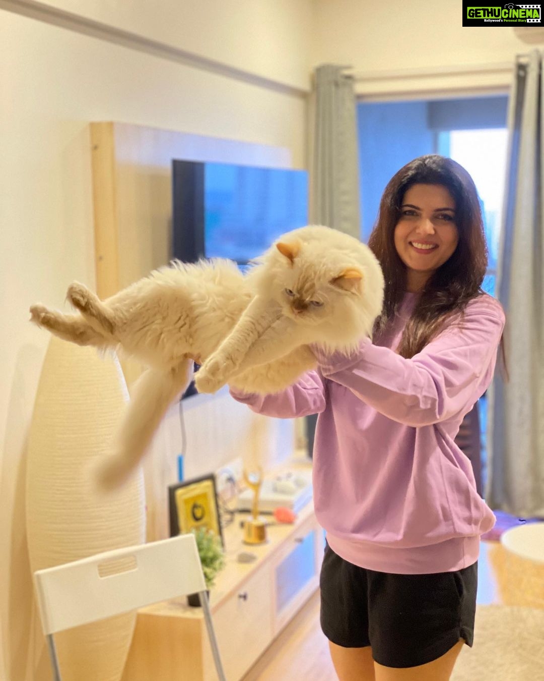 Ihana Dhillon Instagram - A small dose of #fluffysingh 😜😍🐱🐈🌝 Home Sweet Home