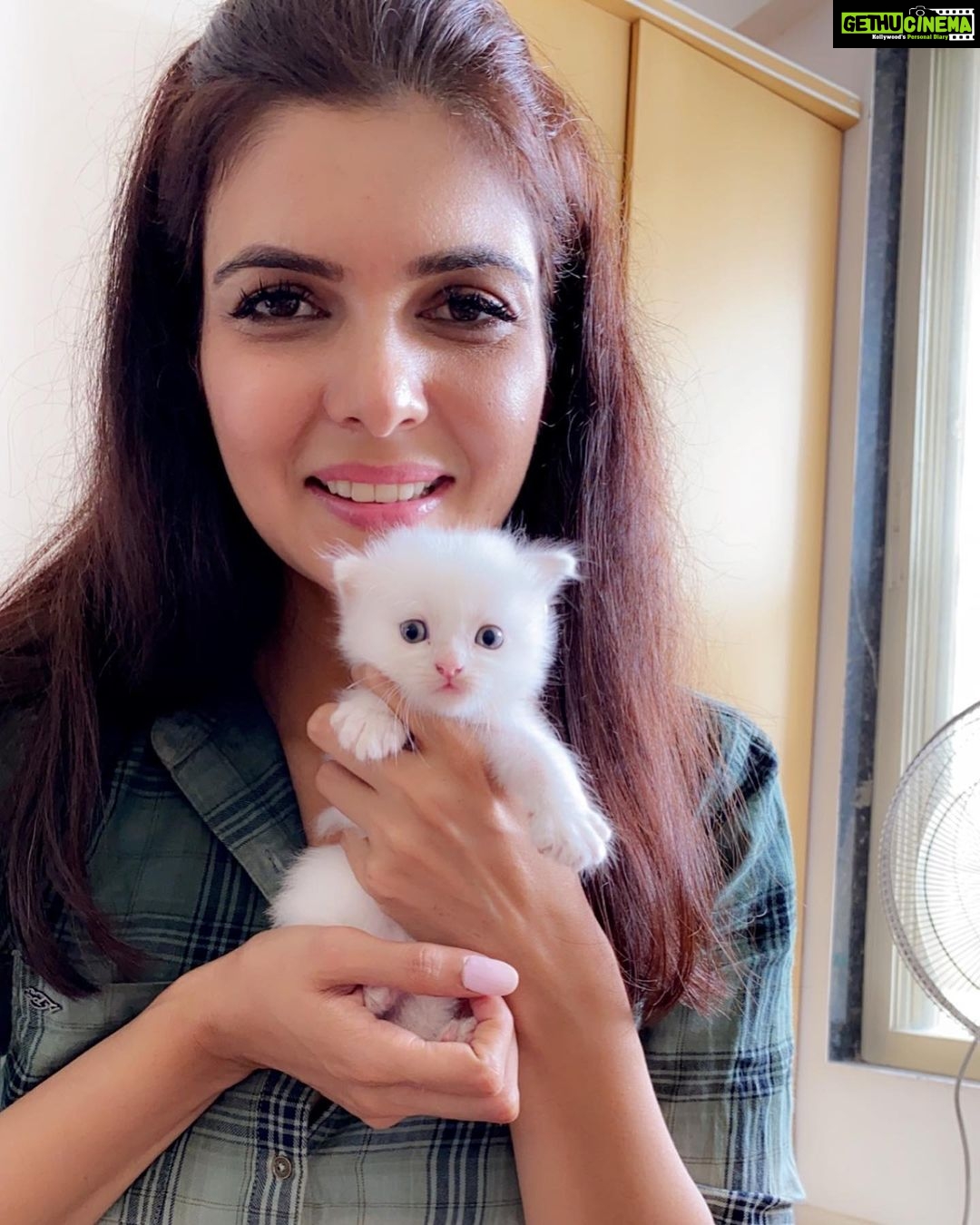 Ihana Dhillon Instagram - A small dose of smile 🥰 #catlover #meow