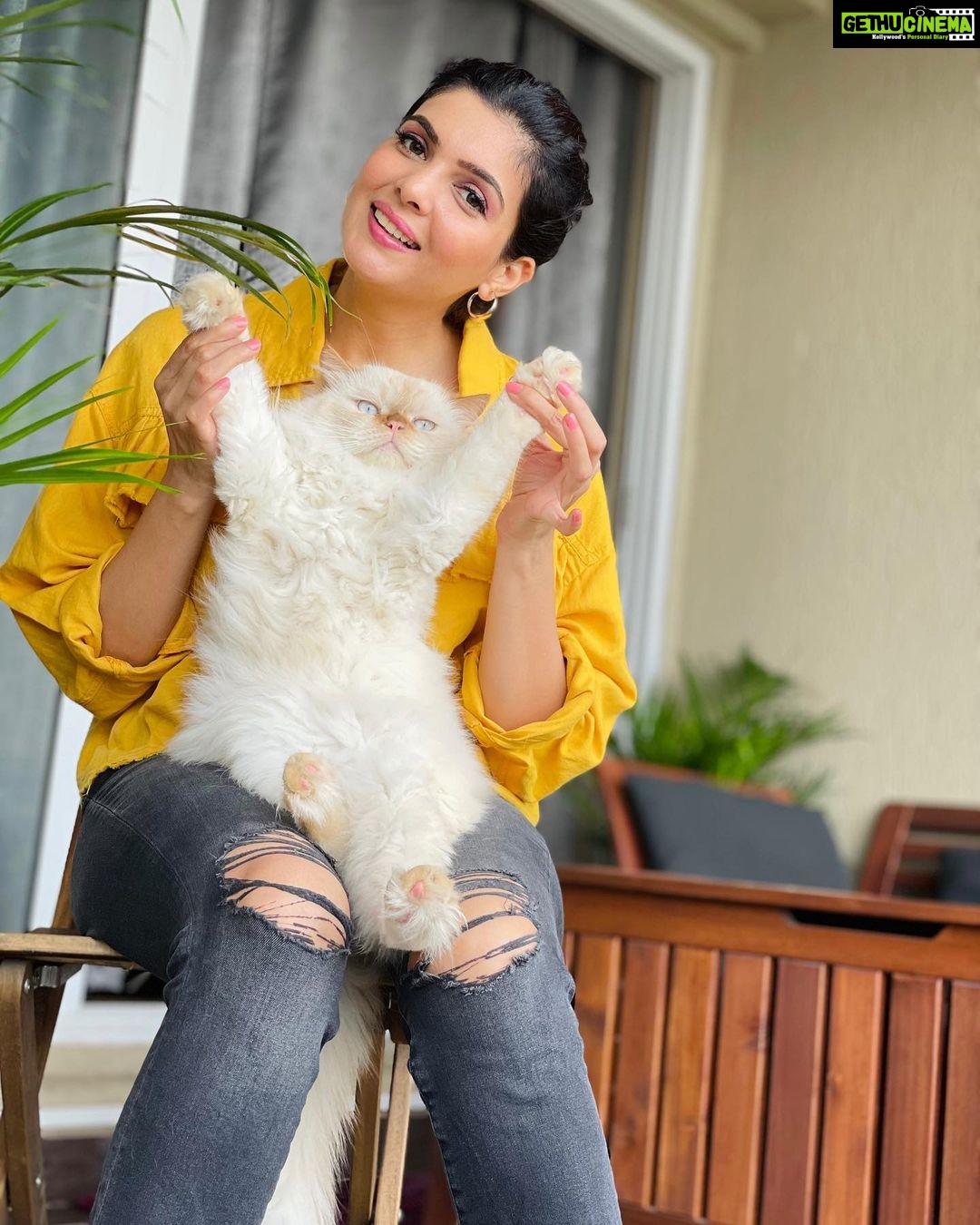 Ihana Dhillon Instagram - Wondering are we both looking chubby or healthy 😜 Mera #fluffysingh 😍 . . . . . #catlovers #homesweethome #mumbai #punjab #punjabi #rains #instagood #instagram #actor #love #ihanadhillon Mumbai, Maharashtra