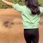 Ihana Dhillon Instagram – Mood 
When you are in nature 🌿
#instareels #naturelovers #travel #traveldiaries #trendingsongs #funtimes #instagram #instamood #love #ihanadhillon