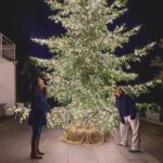 Ira Khan Instagram – Feelings about Christmas this year?
.
.
.
#christmas #christmastree #readyornot #holiday