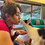 Ira Khan Instagram – Just a Puddle of joy.
Curiosity saves the cat.
I can’t for the life of me remember what was in my hand.

Unexpected love/curiosity-that-didn’t-turn-into-swat from Puddle.
Made my day❤
Maybe that’s what I should do with my life.
.
.
.
#catsofinstagram #cat #pun #idom #lame #realistic #catlove #existentialcrisis