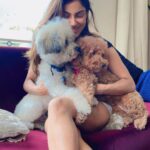 Ishita Raj Sharma Instagram - My respite, mister-tinkle+Mia! #furballs Delhi, India