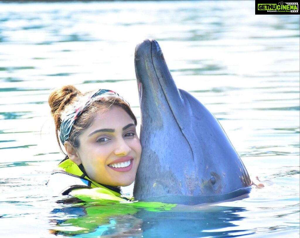 Ishita Raj Sharma Instagram - Meet Alicia. Shes cute mute, soft waft, glides dives and warmth is her only language! 🫶 #makingnewfriends #findingnewground