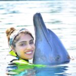 Ishita Raj Sharma Instagram - Meet Alicia. Shes cute mute, soft waft, glides dives and warmth is her only language! 🫶 #makingnewfriends #findingnewground