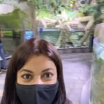 Janvi Chheda Instagram – @Dubai Aquarium and Underwater Zoo. Dubai Aquarium & Underwater Zoo by Emaar