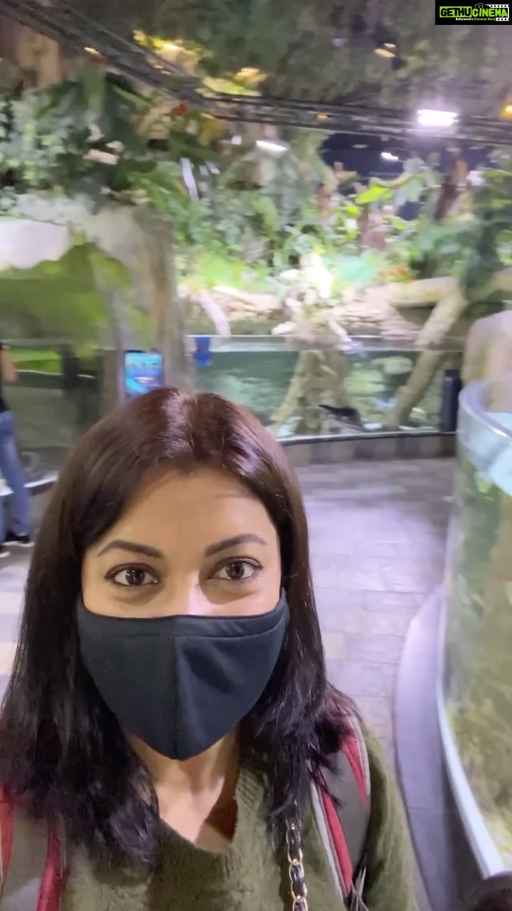 Janvi Chheda Instagram - @Dubai Aquarium and Underwater Zoo. Dubai Aquarium & Underwater Zoo by Emaar