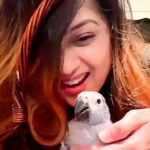 Jayshree Soni Instagram - Ornithophile ❤️🙏 🐣. beyond love #africangreyparrot #babybird #creationofgod #amazing #grey #bird #extreemlycute #love-you #mybaby